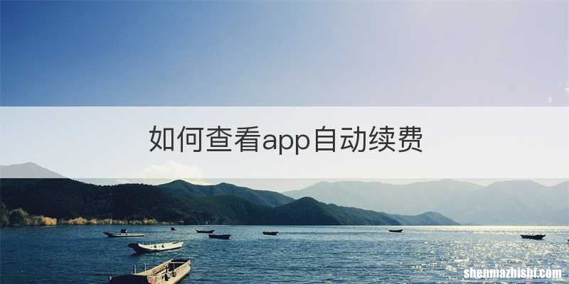 如何查看app自动续费