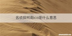 名侦探柯南kid是什么意思