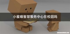 小蜜蜂智慧服务中心在校园吗