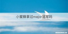 小蜜蜂拿过major冠军吗