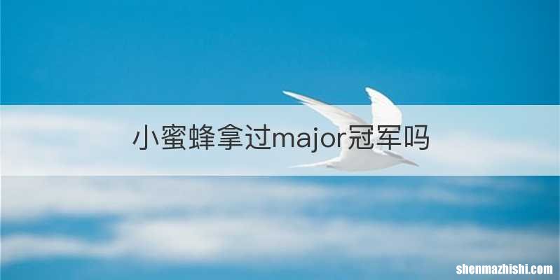 小蜜蜂拿过major冠军吗