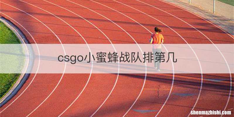 csgo小蜜蜂战队排第几