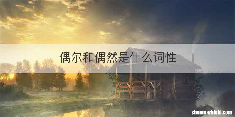 偶尔和偶然是什么词性