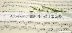 Applewatch更新时不动了怎么办
