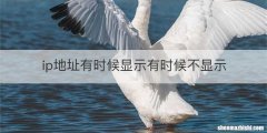 ip地址有时候显示有时候不显示