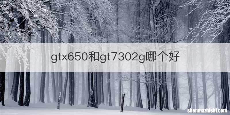 gtx650和gt7302g哪个好