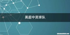 英超中资球队