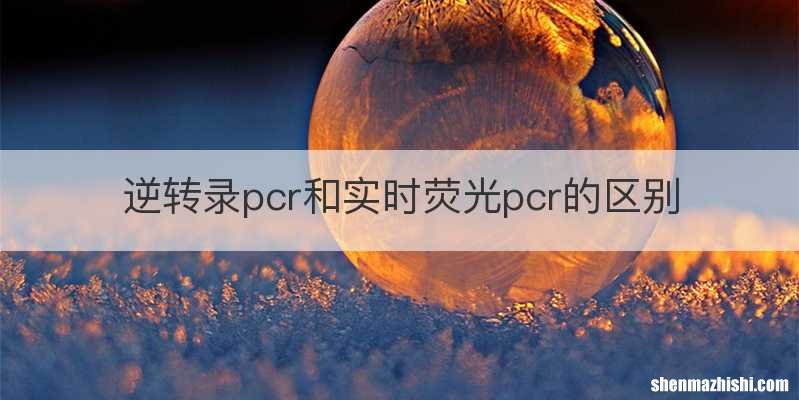 逆转录pcr和实时荧光pcr的区别