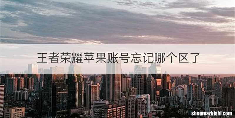 王者荣耀苹果账号忘记哪个区了