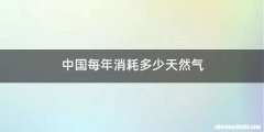 中国每年消耗多少天然气
