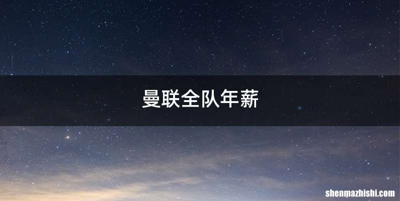 曼联全队年薪