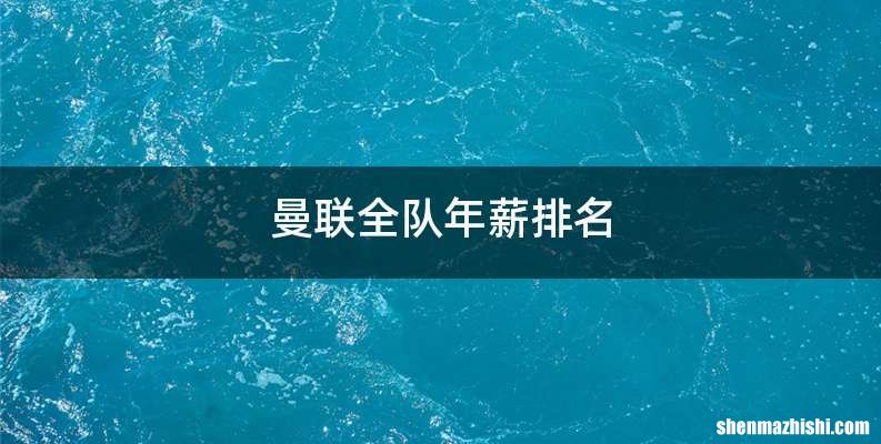 曼联全队年薪排名