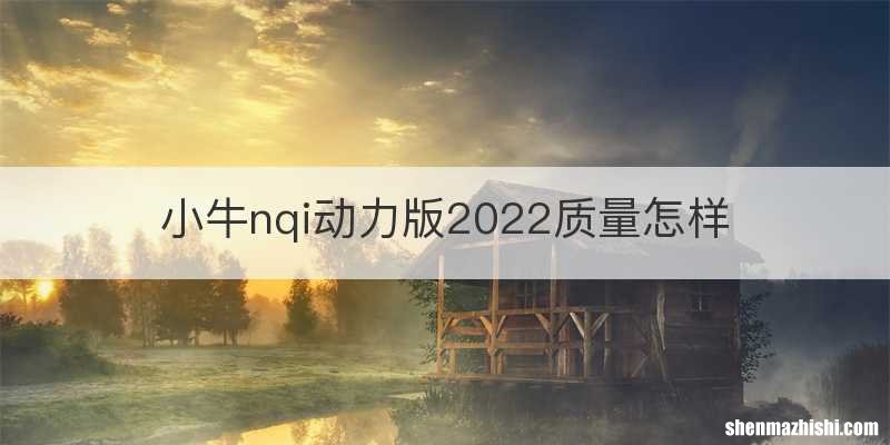 小牛nqi动力版2022质量怎样