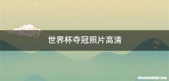世界杯夺冠照片高清