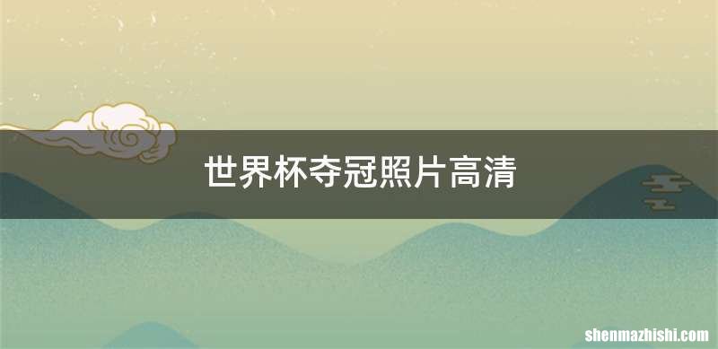 世界杯夺冠照片高清