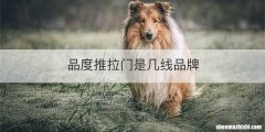 品度推拉门是几线品牌