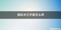 国际米兰手套怎么样