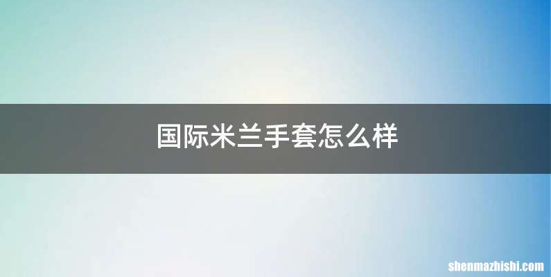 国际米兰手套怎么样