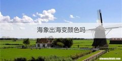 海象出海变颜色吗