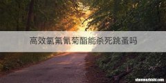 高效氯氟氰菊酯能杀死跳蚤吗
