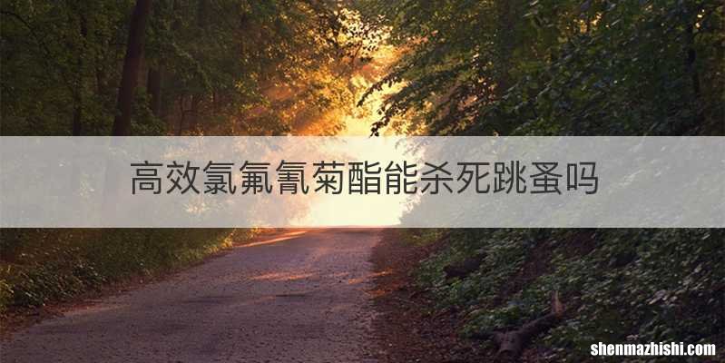 高效氯氟氰菊酯能杀死跳蚤吗