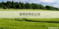 提高效率反义词