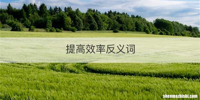 提高效率反义词