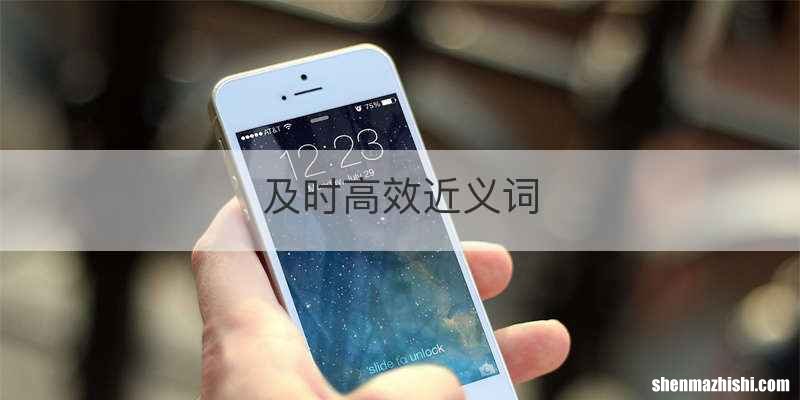 及时高效近义词