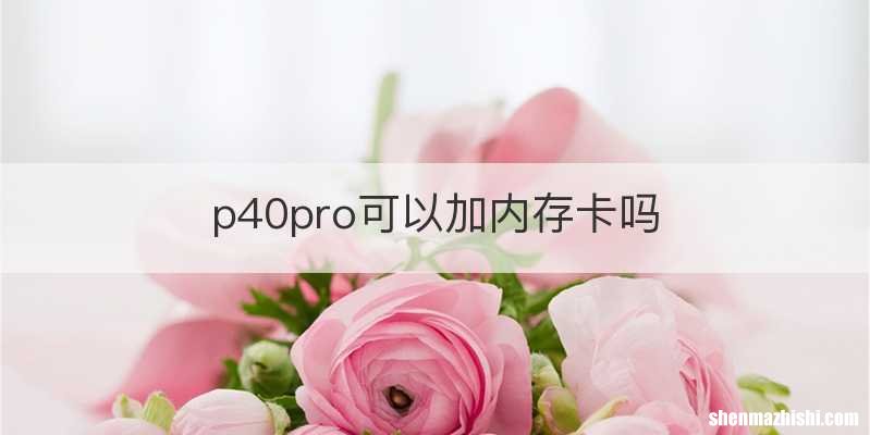 p40pro可以加内存卡吗