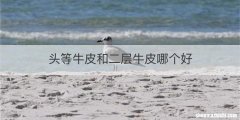 头等牛皮和二层牛皮哪个好