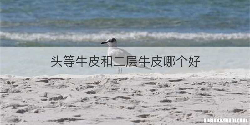 头等牛皮和二层牛皮哪个好