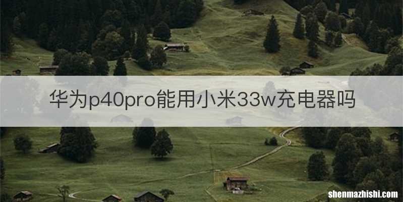 华为p40pro能用小米33w充电器吗