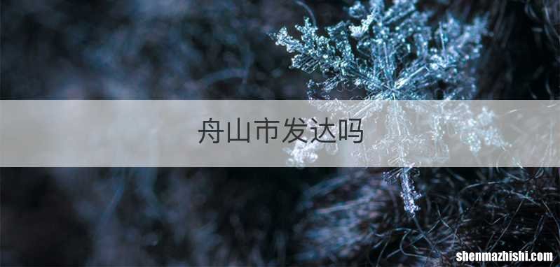 舟山市发达吗