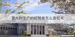 意大利生产的纪梵希怎么查批号