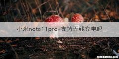 小米note11pro+支持无线充电吗