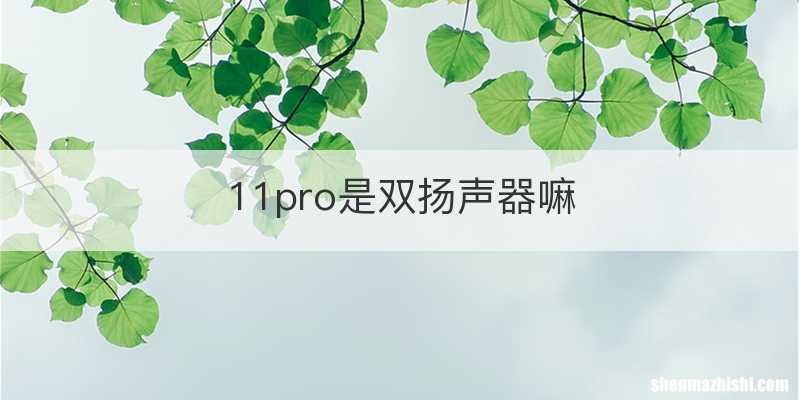 11pro是双扬声器嘛