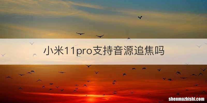 小米11pro支持音源追焦吗