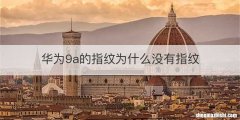 华为9a的指纹为什么没有指纹