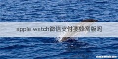 apple watch微信支付要蜂窝版吗