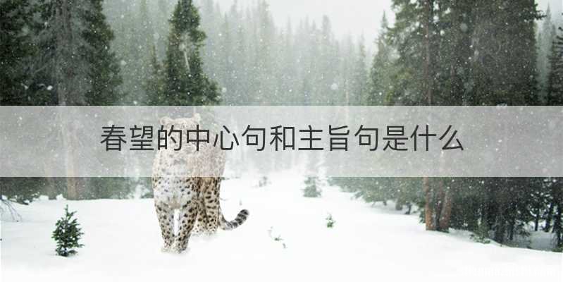 春望的中心句和主旨句是什么