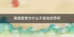 莫德里奇为什么不参加世界杯