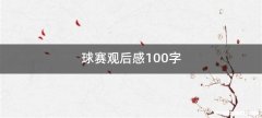 球赛观后感100字