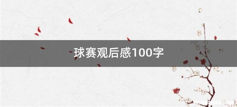 球赛观后感100字