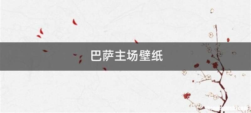 巴萨主场壁纸