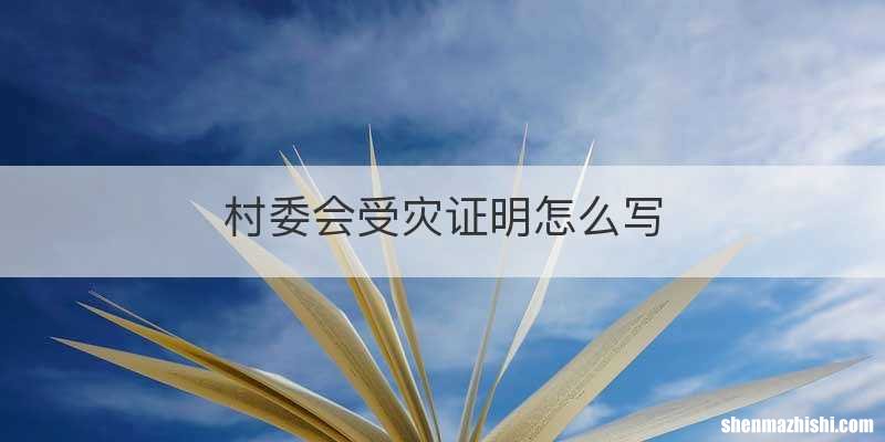村委会受灾证明怎么写