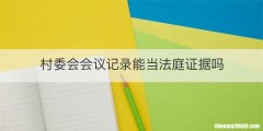 村委会会议记录能当法庭证据吗