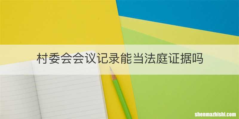 村委会会议记录能当法庭证据吗