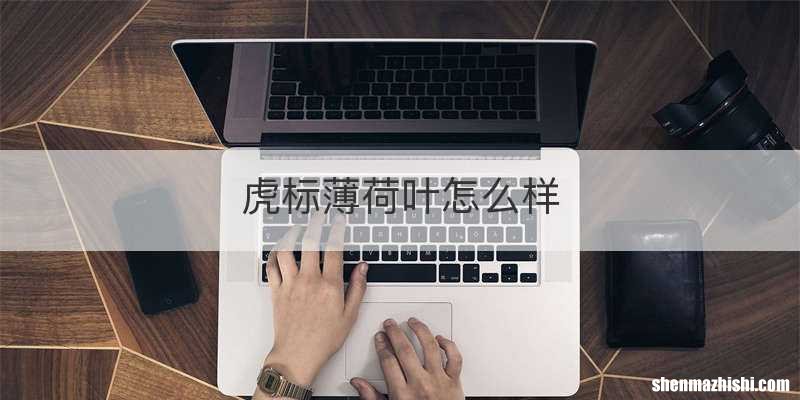 虎标薄荷叶怎么样
