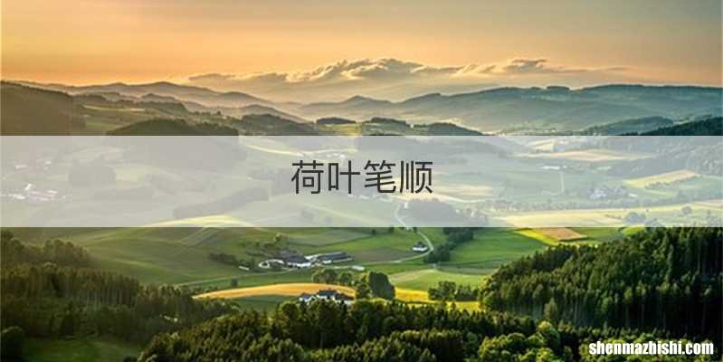 荷叶笔顺
