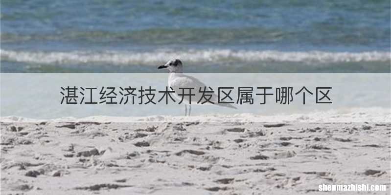 湛江经济技术开发区属于哪个区